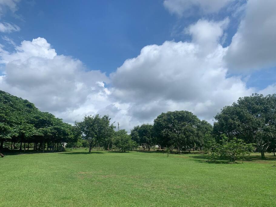 Disfruta Del Contacto Con La Naturaleza Apartment Puntarenas Exterior photo
